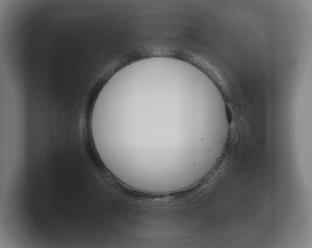 X0000102260306200807250843