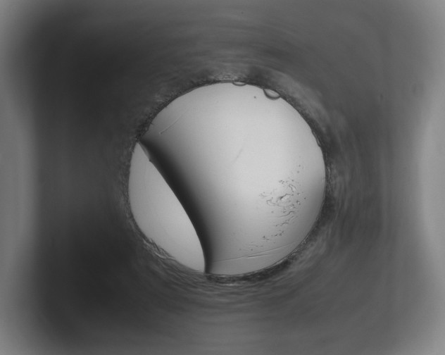 X0000102260307200807250843