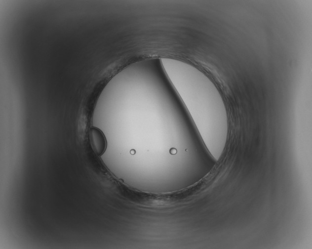 X0000102260308200807250843