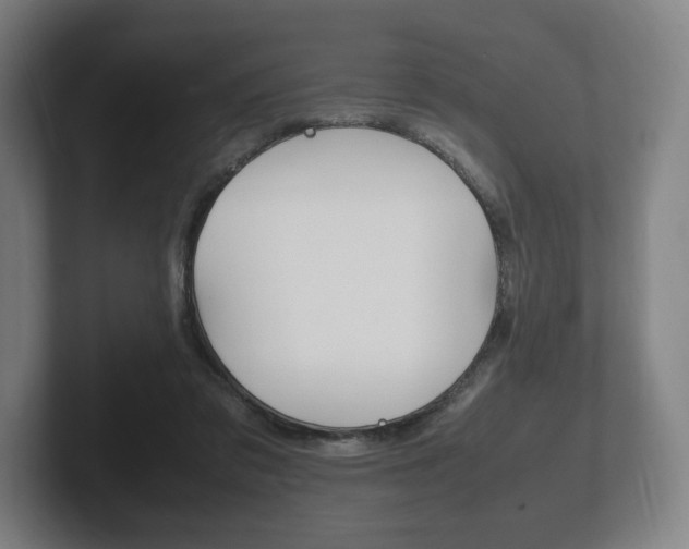X0000102260309200807250843