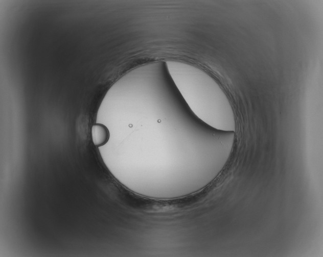 X0000102260311200807250843