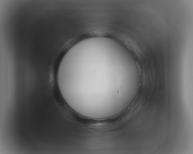 X0000102260312200807250843