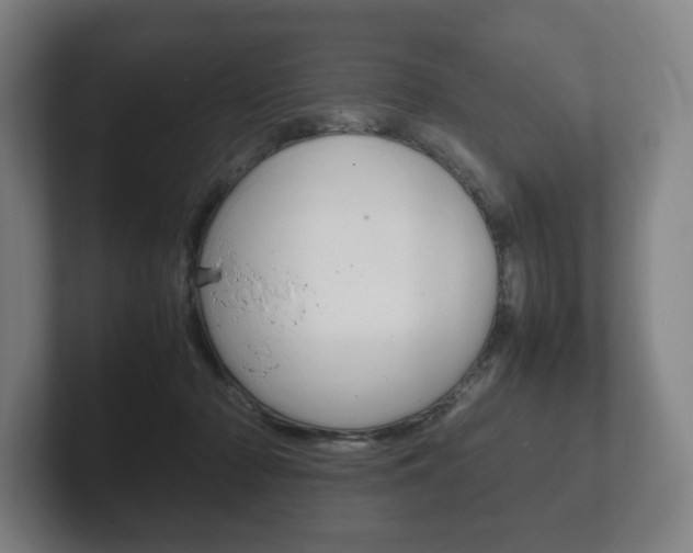 X0000102260318200807250843