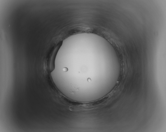 X0000102260320200807250843