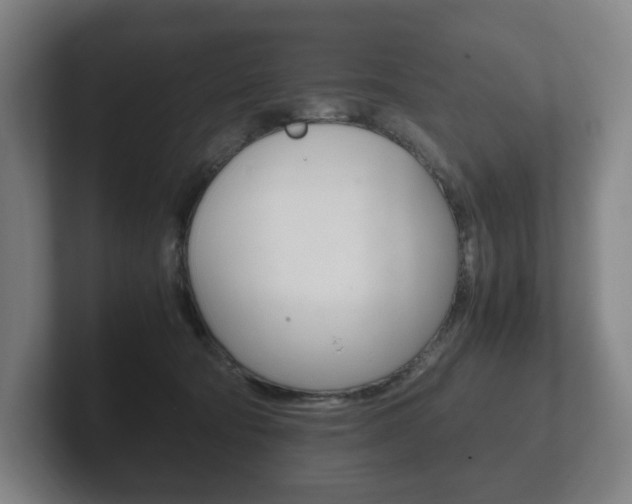 X0000102260322200807250843