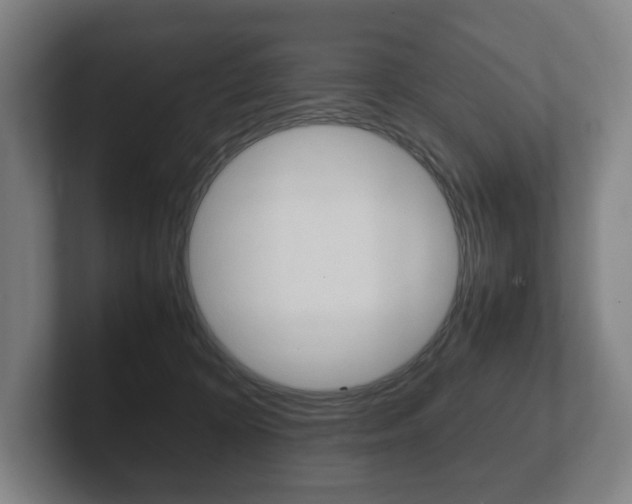 X0000102260324200807250843