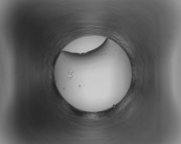 X0000102260325200807250843