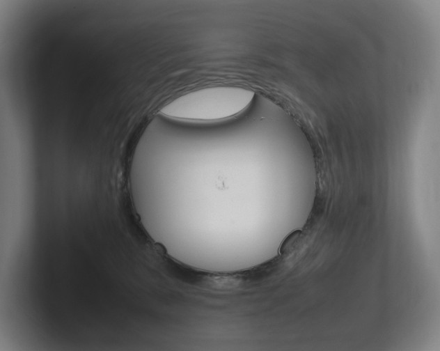 X0000102260327200807250843