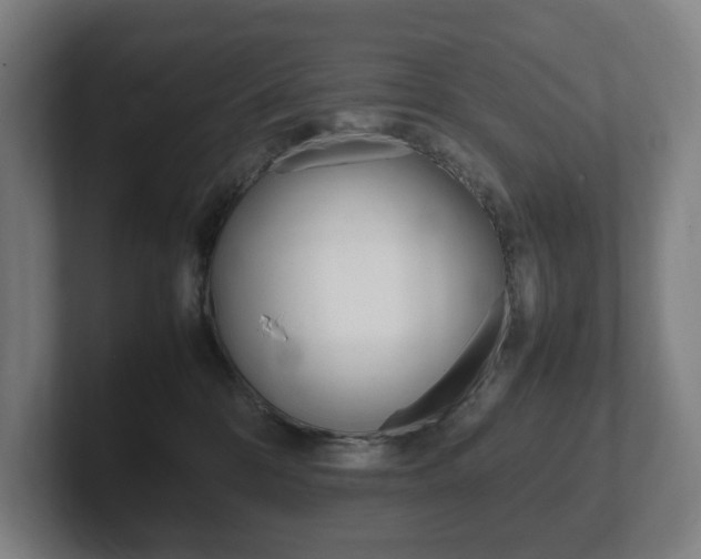 X0000102260328200807250843