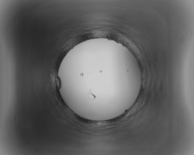 X0000102260329200807250843