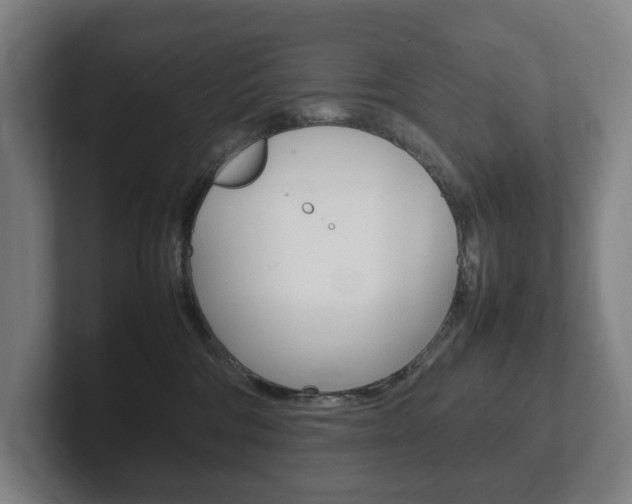 X0000102260330200807250843