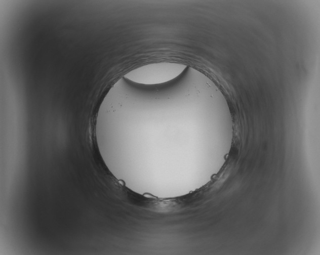 X0000102260333200807250843