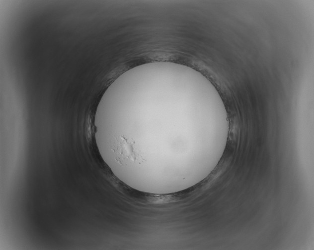 X0000102260334200807250843