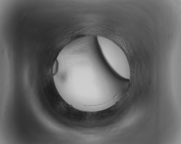X0000102260335200807250843
