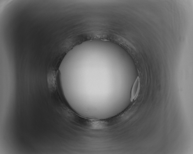 X0000102260336200807250843