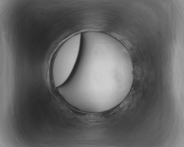 X0000102260338200807250842