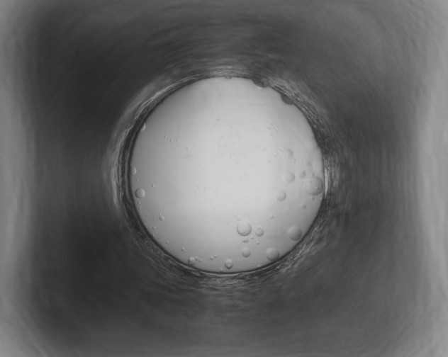 X0000102260339200807250842