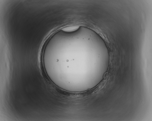 X0000102260340200807250842