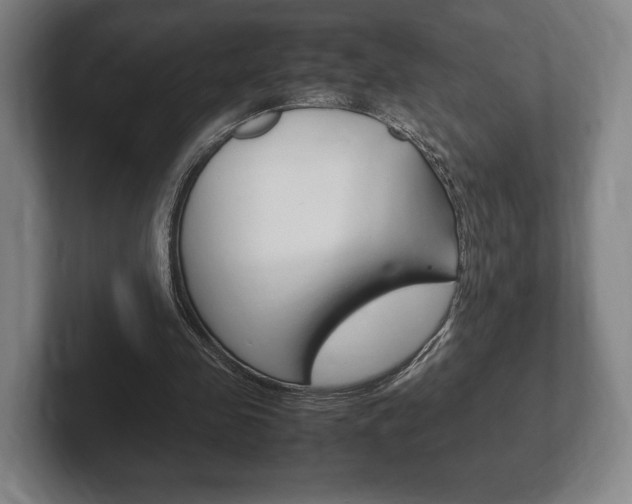 X0000102260341200807250842