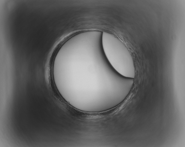 X0000102260342200807250842