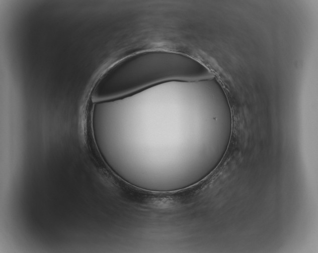 X0000102260344200807250842