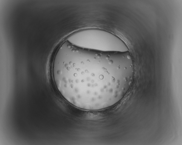 X0000102260346200807250842