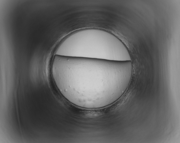 X0000102260347200807250842