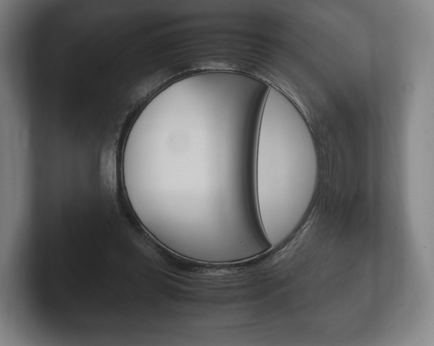 X0000102260349200807250842