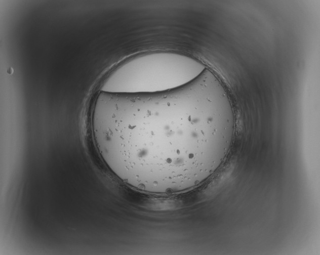 X0000102260351200807250842