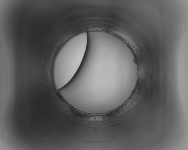 X0000102260353200807250842
