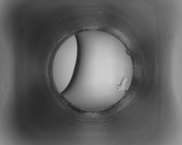 X0000102260354200807250842