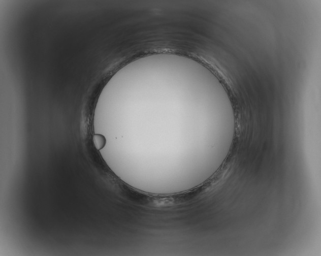 X0000102260355200807250842