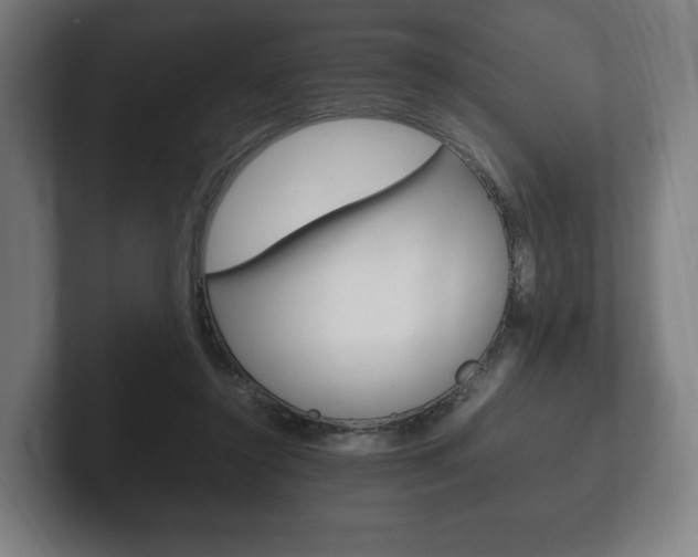 X0000102260356200807250842