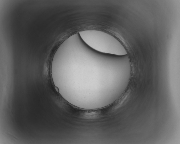X0000102260357200807250842