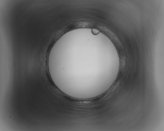 X0000102260361200807250842