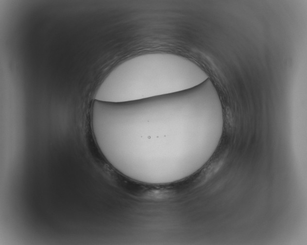 X0000102260364200807250842