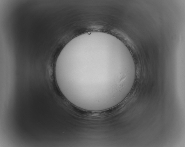 X0000102260365200807250842