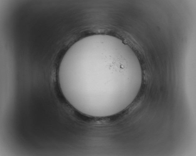 X0000102260368200807250842