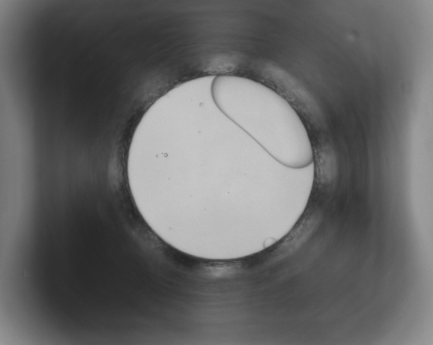 X0000102260370200807250842
