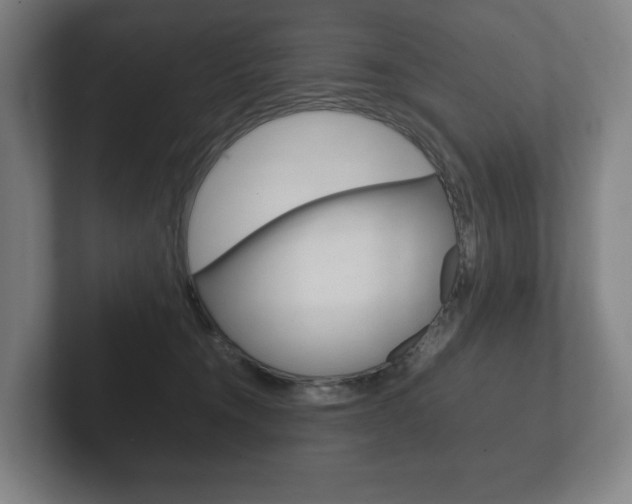 X0000102260372200807250842