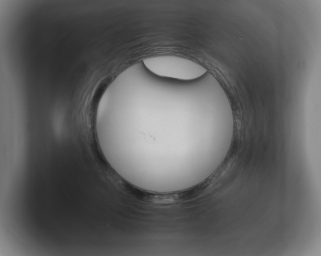 X0000102260373200807250842