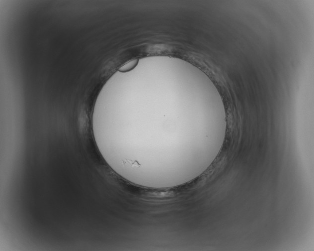 X0000102260375200807250842