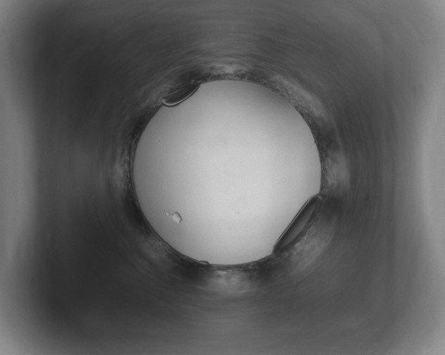 X0000102260376200807250842