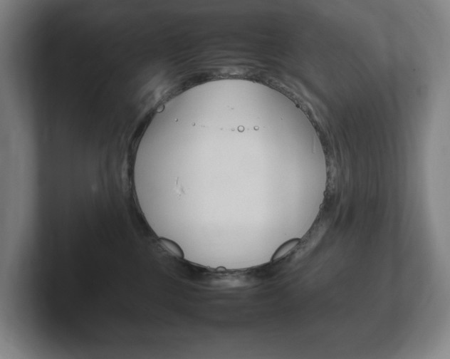 X0000102260377200807250842