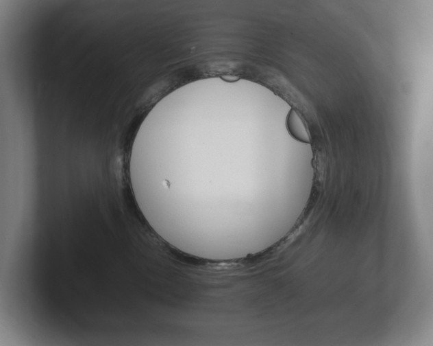 X0000102260378200807250843