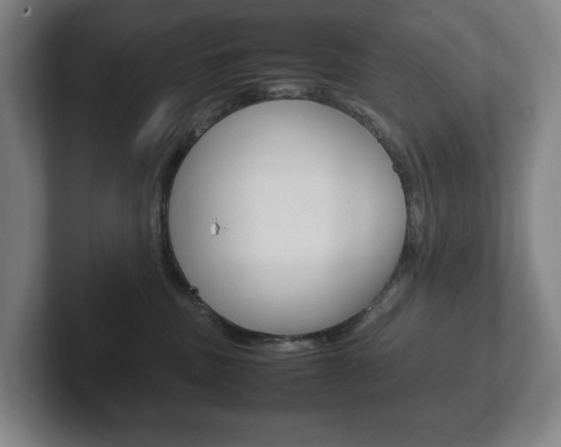 X0000102260379200807250843