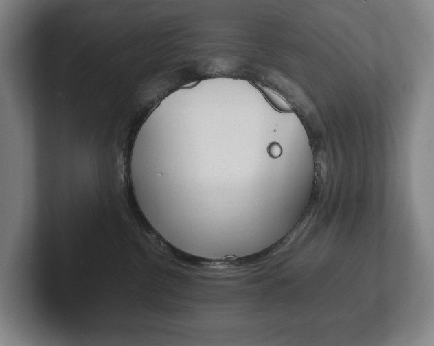 X0000102260380200807250843