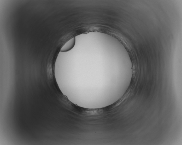 X0000102260381200807250843