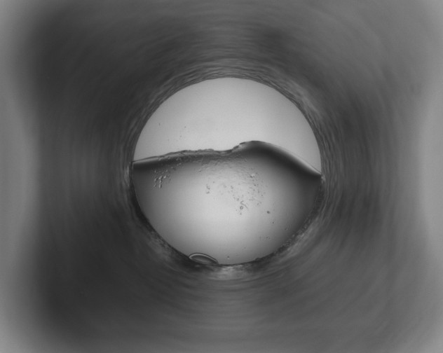 X0000102260382200807250843