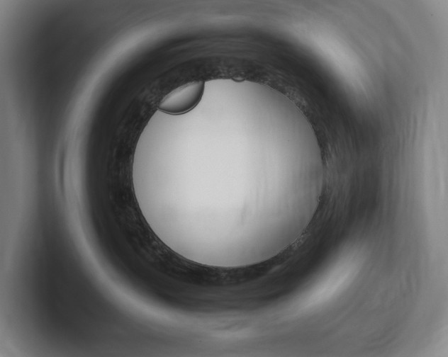 X0000102260383200807250843
